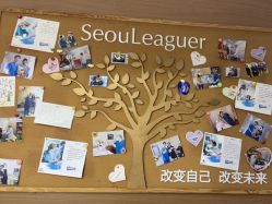 -上海首尔丽格医疗美容医院