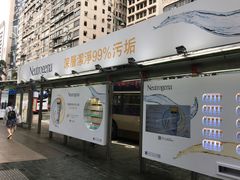 -珍妮曲奇聪明小熊(尖沙咀店)
