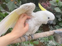 -南宫五洲植物乐园