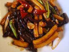 -食家鸽园