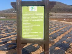 -金石滩蓝莓谷庄园