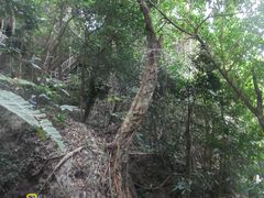 -七仙岭温泉国家森林公园
