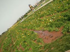 -君乐宝优致牧场
