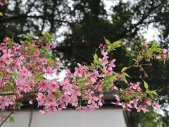 -乌山风景区