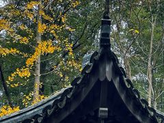 -玉女潭景区
