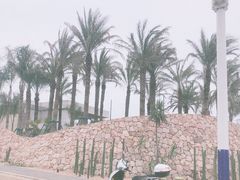 -抚仙湖禄充风景区