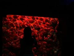 -波塞冬旅游度假区