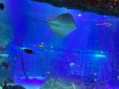 -沈阳海洋探索中心