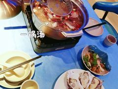 -千岛蚝高压锅生蚝·人参火锅(白云万达店)