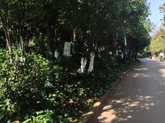 -月牙潭公园