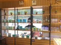 -博客眼镜(大学城店)