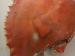 -港畔赶海蒸汽海鲜烧烤自助(仙螺岛店)