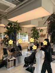 -Hair  Gallery