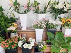 -万卉源鲜花店(百尚生活广场店)