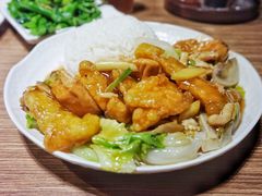 豆腐鱼腩饭-百福麵家(新馬路店)