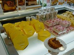 -蒲公英(象山北路店)