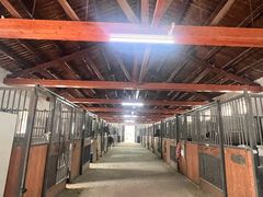 -北京群众马术培训基地