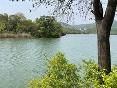-佛手湖郊野公园