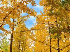 -汉长安城未央宫国家考古遗址公园