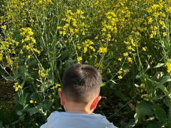 -同济大学-北苑食堂