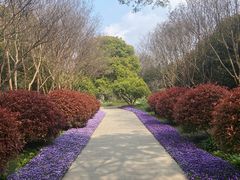 -太子山公园(园东路)