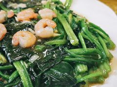 虾仁烧菠菜-老健康贾姨原味馆