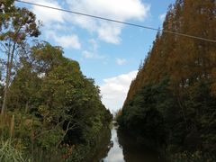 -上海长兴岛郊野公园