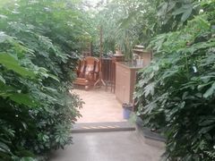 -金稼园·金平湖农家菜