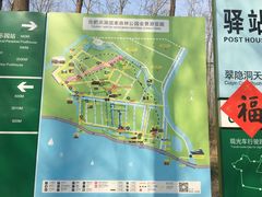 -合肥滨湖国家森林公园