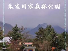 -朱雀国家森林公园