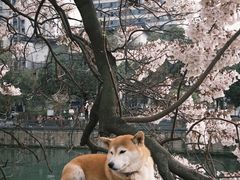 -红星桥(地铁站)