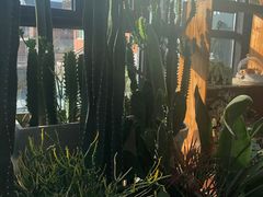 -北马山庄植趣咖啡