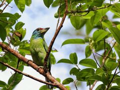 -中国科学院西双版纳热带植物园