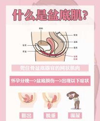 -蓓爱娇琪月子会所(虹口店)