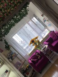 -Y.F 美妆美体工作室