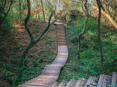 -南京市无想山景区