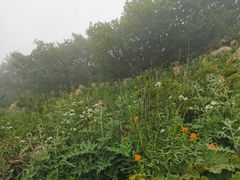 -白草畔自然风景区