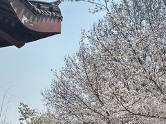 -堤角公园