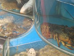-捕渔人家海鲜私房菜(仙螺岛店)