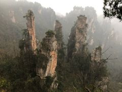 -猪脑壳凉面(武陵源店)