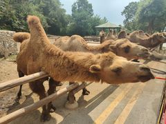 -南京汤山紫清湖生态旅游温泉度假区