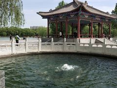-达活泉公园