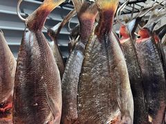 -南风(淮海街店)