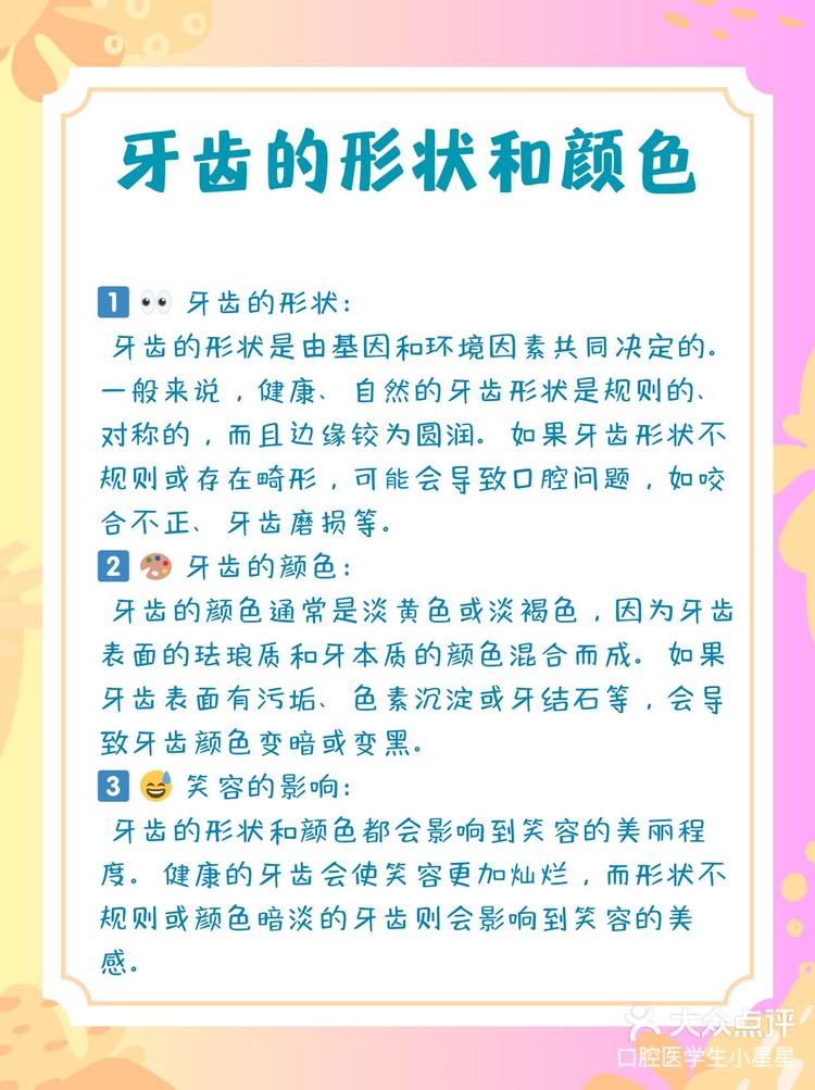 牙齿的形状与颜色