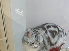 -福田卓悦INTOWN购物中心