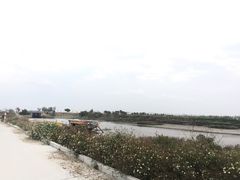 -海鸥岛河景湖大排档