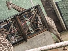-昆明动物园