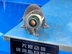 -大连圣亚海洋世界