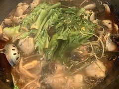-都江堰石锅鱼