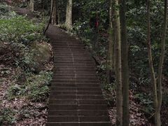 -凤栖山